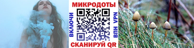 Купить закладки  Ардатов  Галлюциногенные грибы прущие грибы 